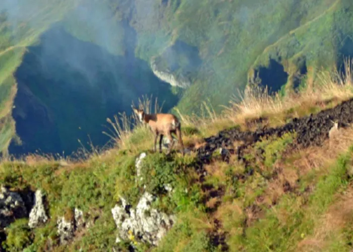 Mobil-home De Charme Avec Terrasse - 4 Pers. - Api-1-52-2024 * La Tour-d'Auvergne