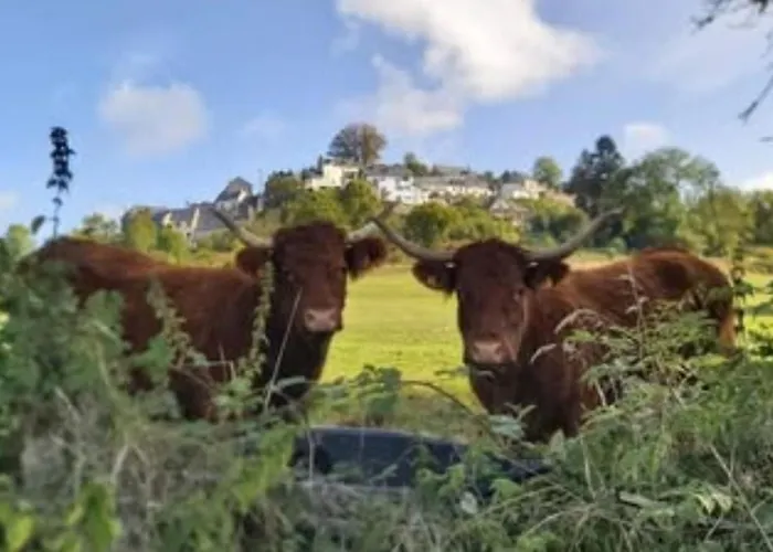 Campsite Mobil-home De Charme Avec Terrasse - 4 Pers. - Api-1-52-2024 *